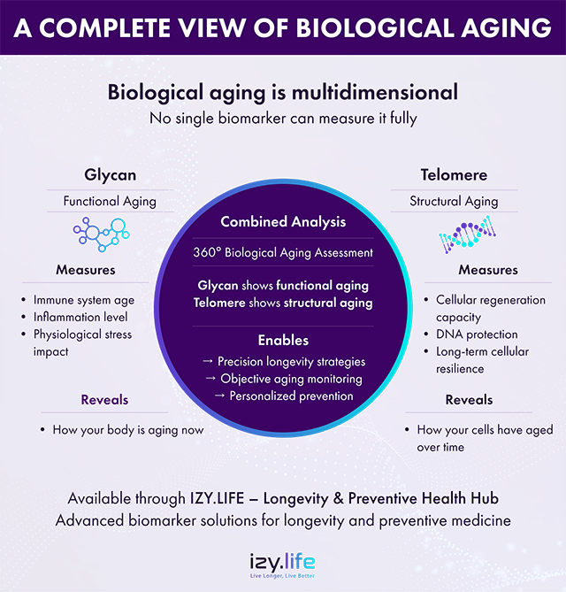 Biological Aging