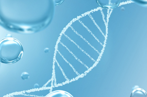 How to Measure Your Biological Age in 2026