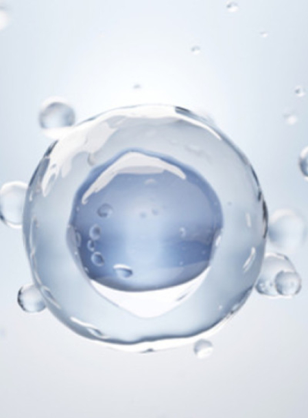 Multidimensional Biological Aging Assessment